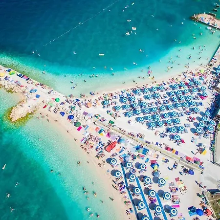 Lonzor I * セルツェ